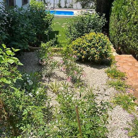 Vila Pura Vida